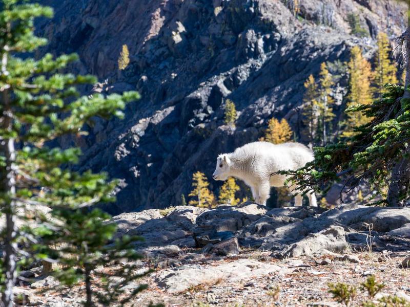 TG批量全套<br>注册/养号/管理/风控一站式